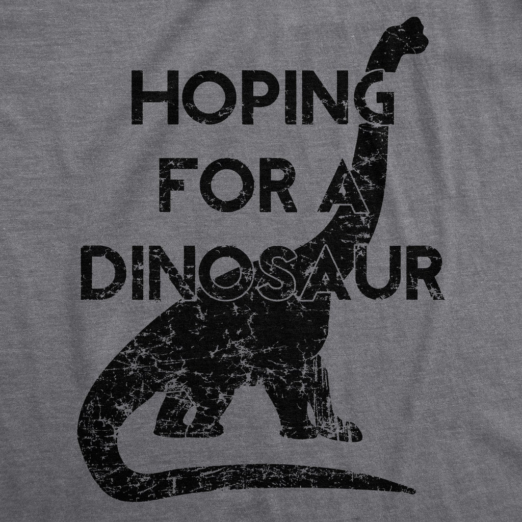 Hoping For A Dinosaur Maternity T Shirt product image 2
