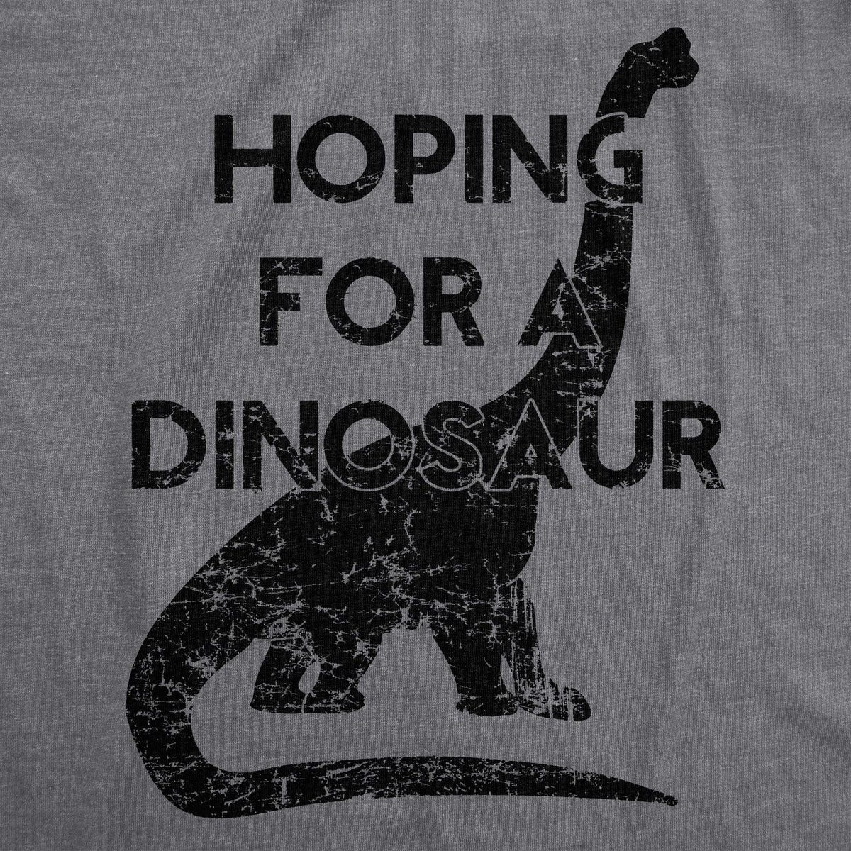 Hoping For A Dinosaur Maternity T Shirt product image 2