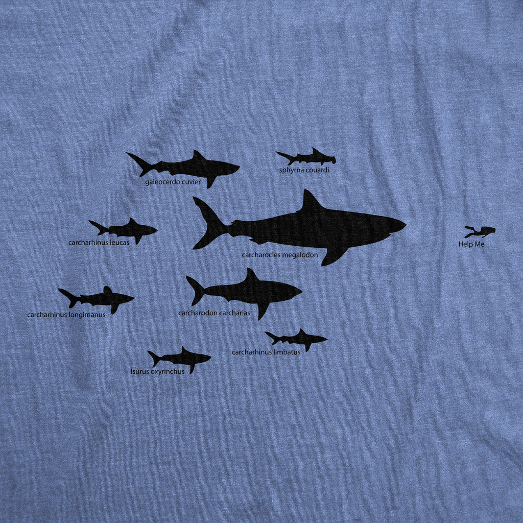 Shark Hierarchy Women's T Shirt product image 2