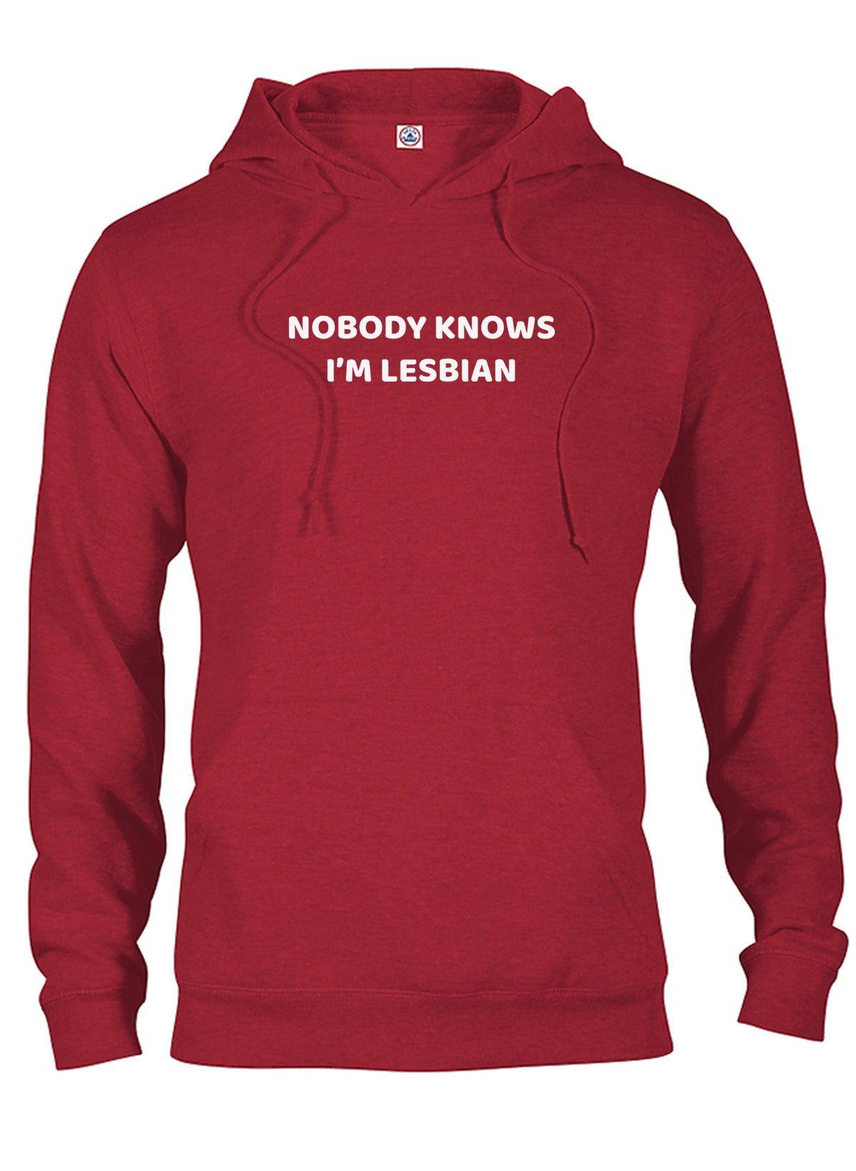 NOBODY KNOWS I’M LESBIAN T-Shirt product image 11
