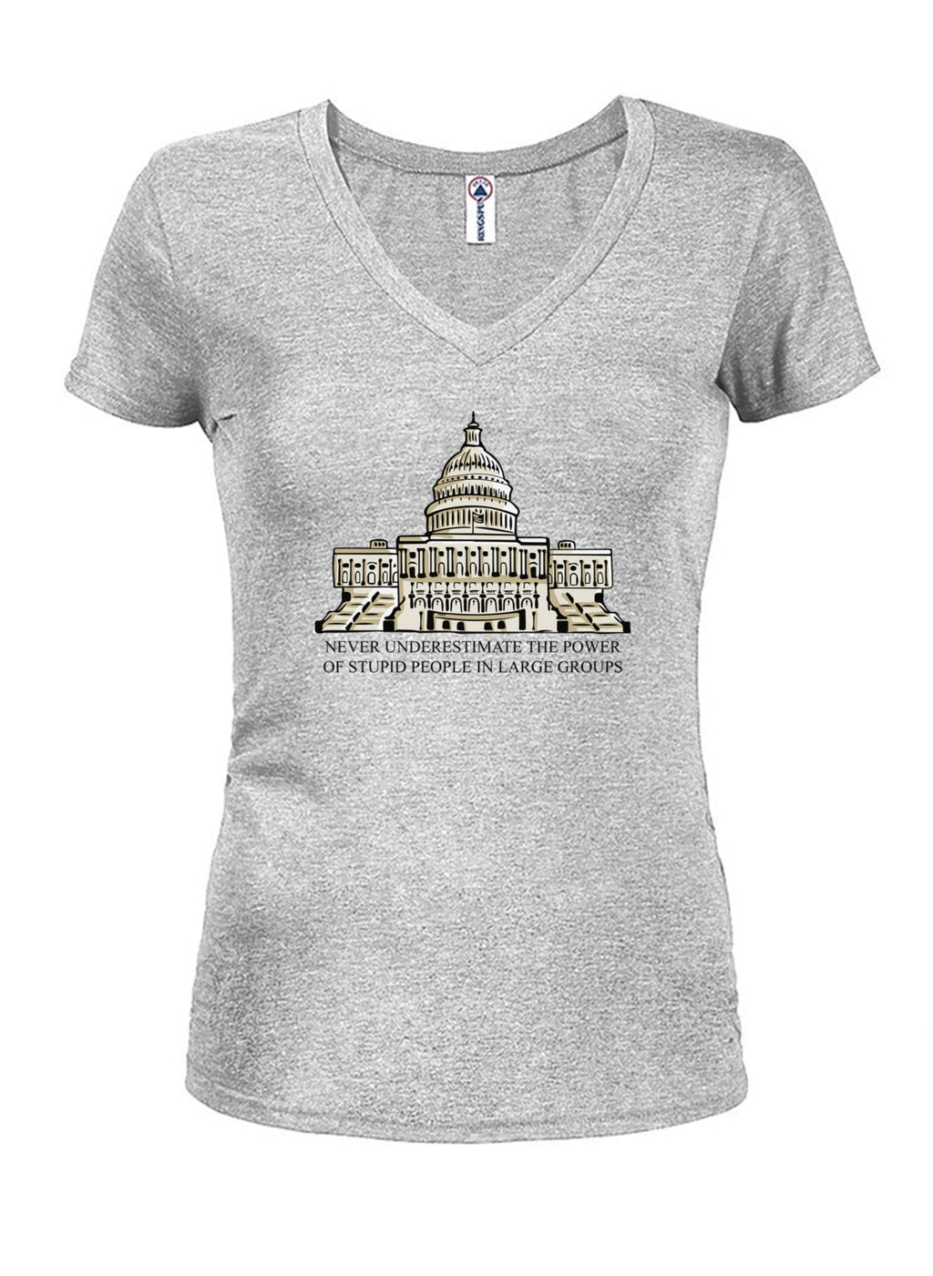 Never Underestimate the Power Juniors V Neck T-Shirt product image 3