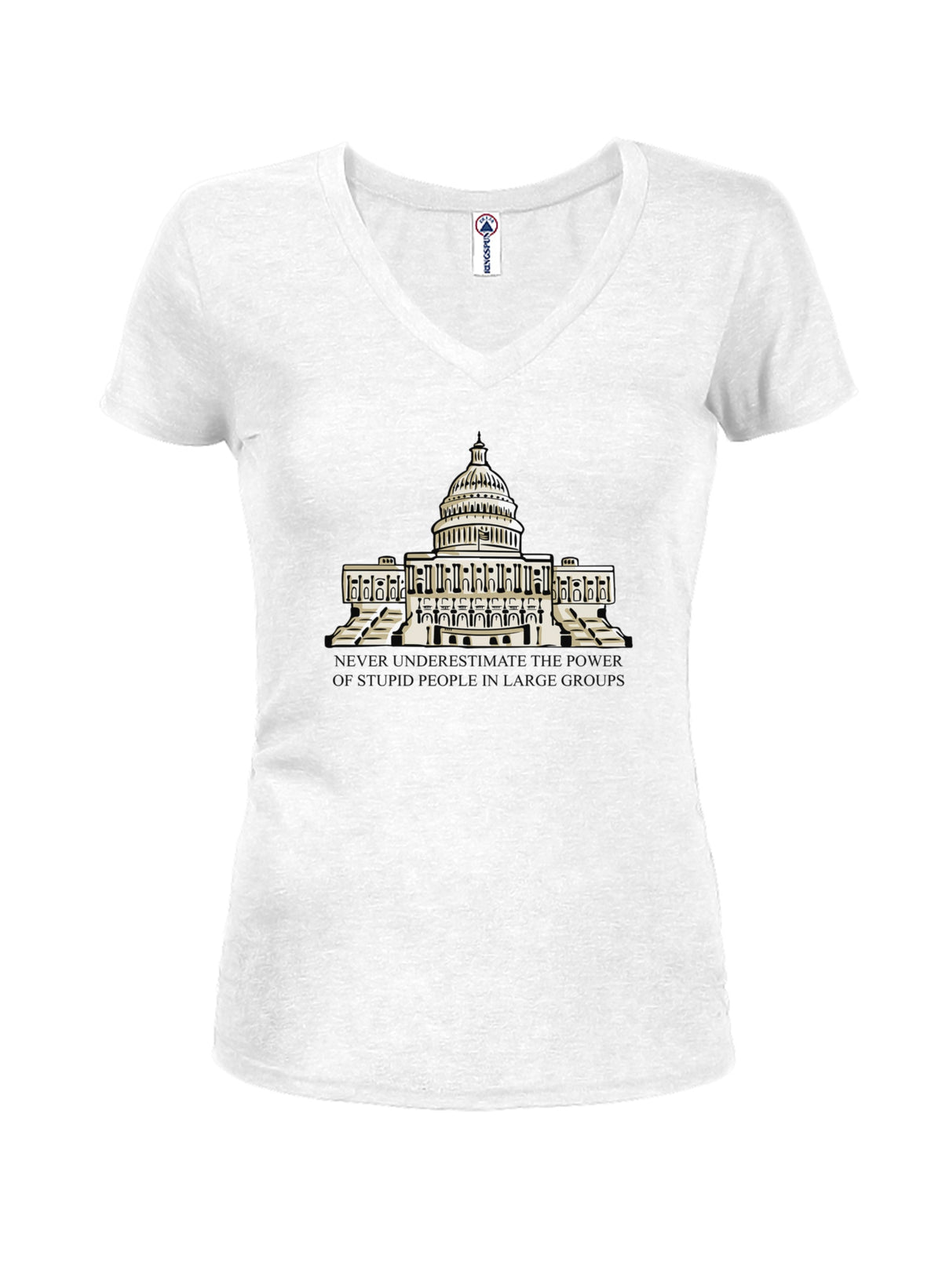 Never Underestimate the Power Juniors V Neck T-Shirt product image 2