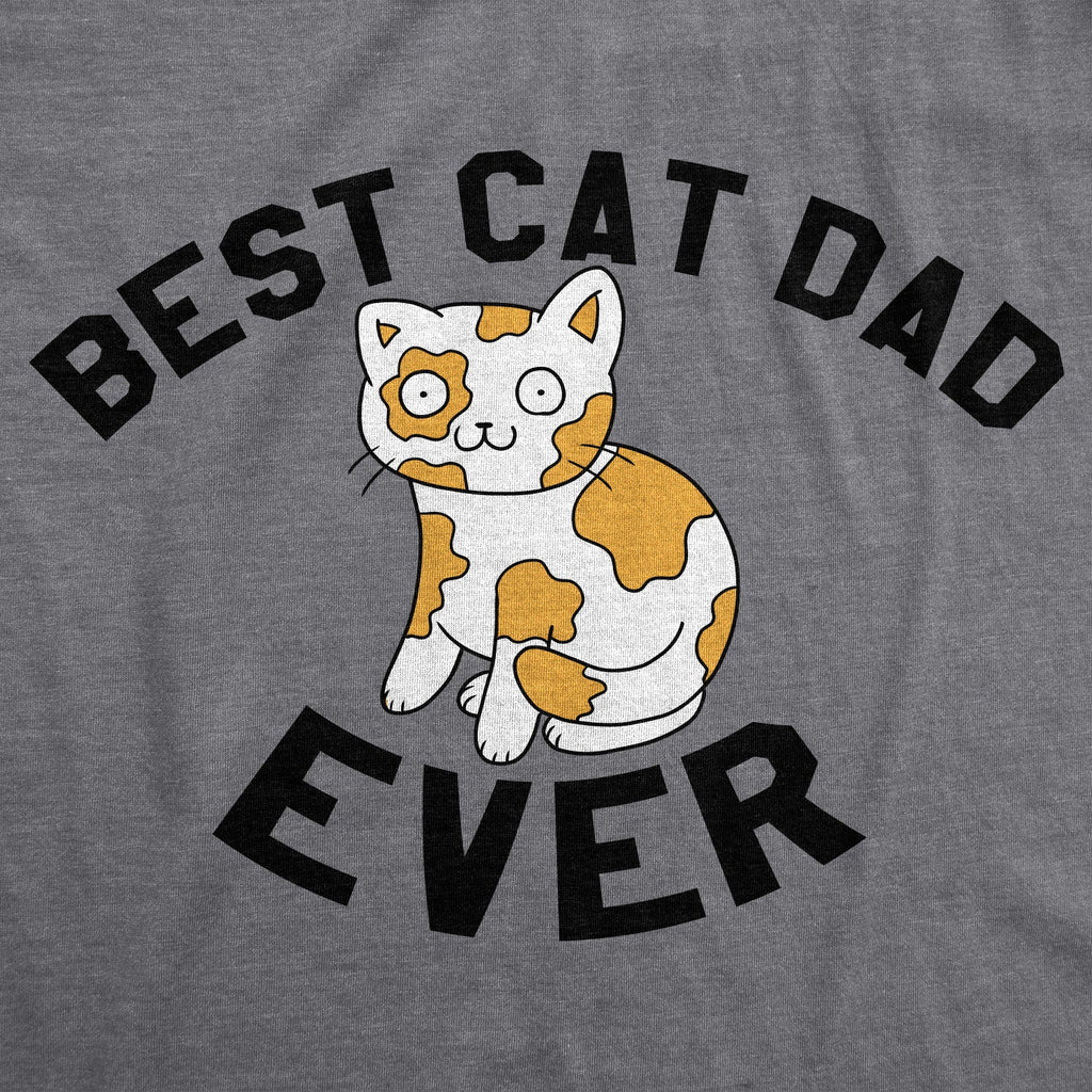 Best Cat Dad Men's T Shirt product image 2