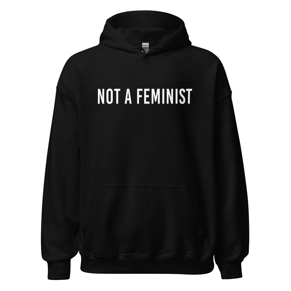 Not a Feminist Hoodie product image 4